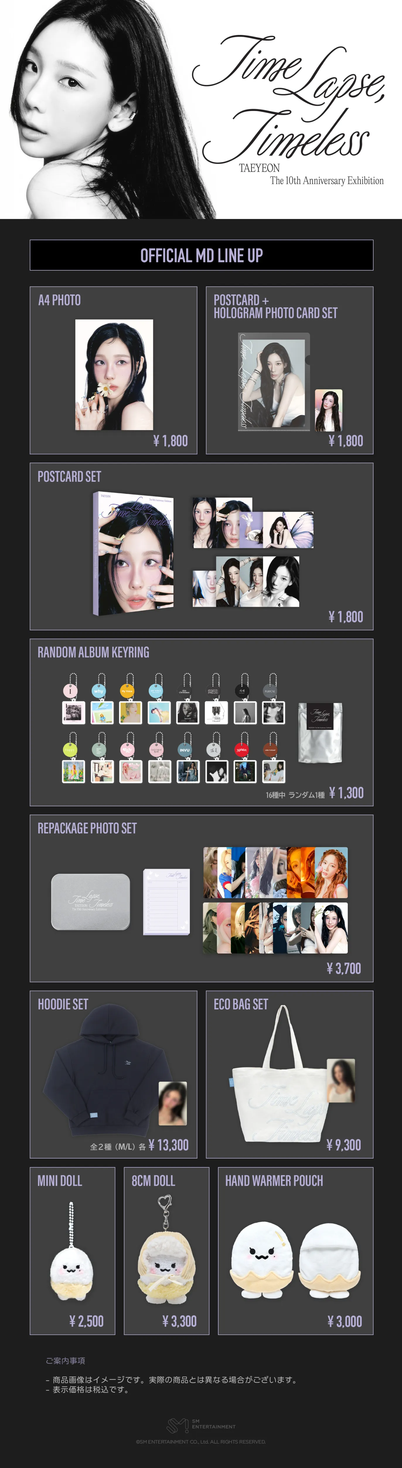 少女時代 テヨン TAEYEON LLL ペンミ グッズMD マグカップ トレカ TAEYEON The 10th Anniversary Exhibition [Time Lapse, Timeless]の